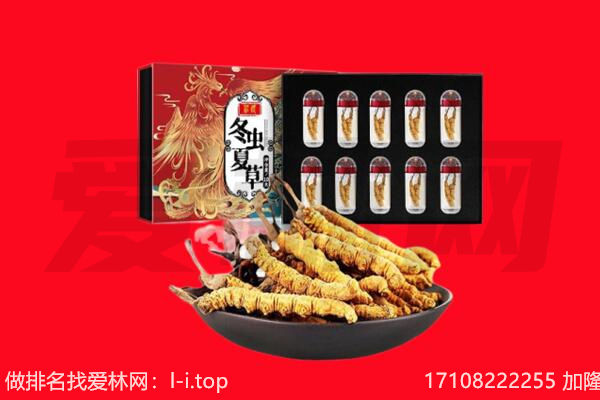泉州丰泽区回收虫草.jpg